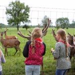 Kinderfeestjes_03