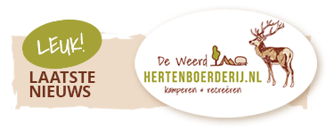 Nieuws