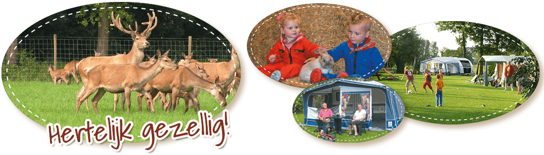 Hertenboerderij op de Veluwe